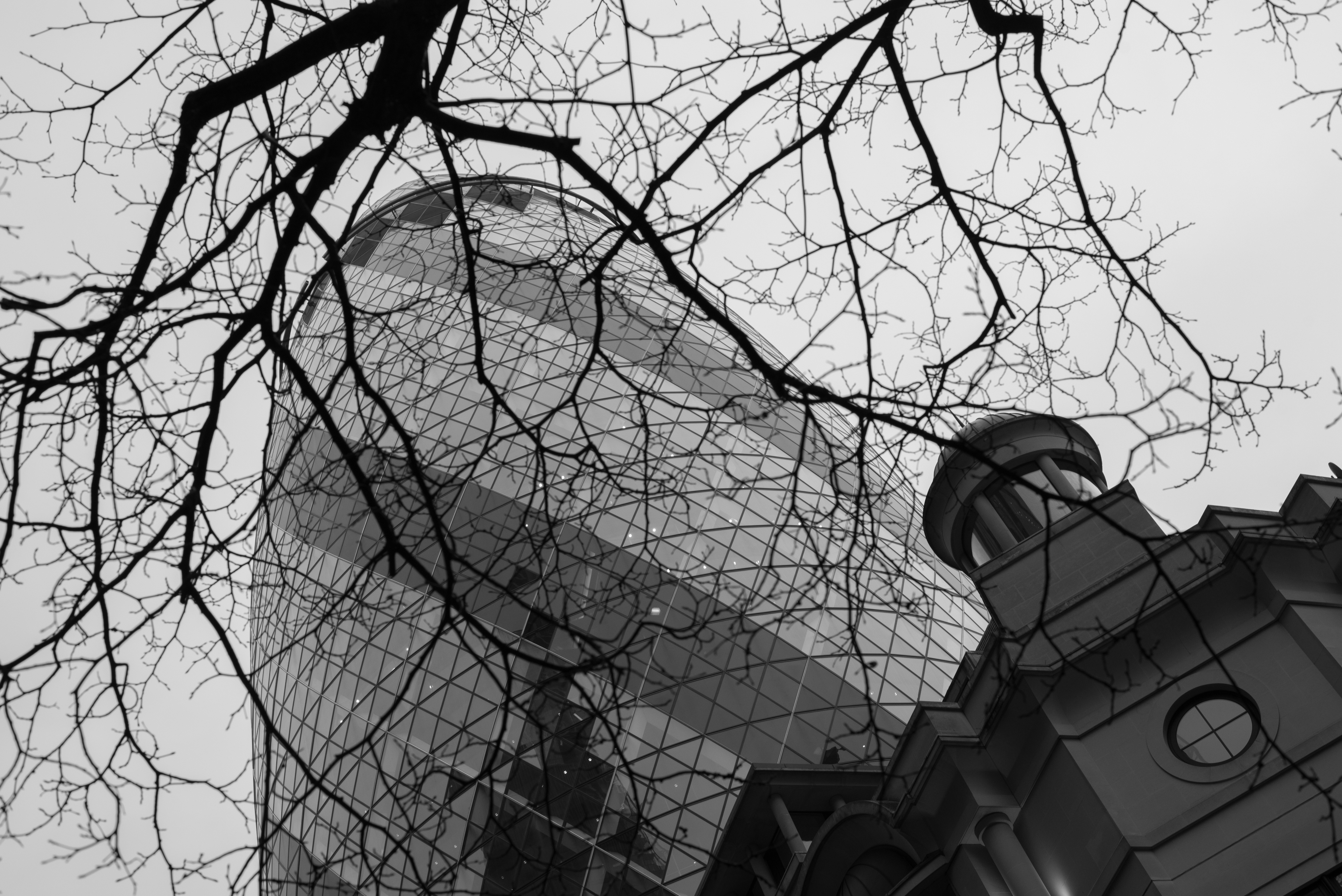 dsc_2284