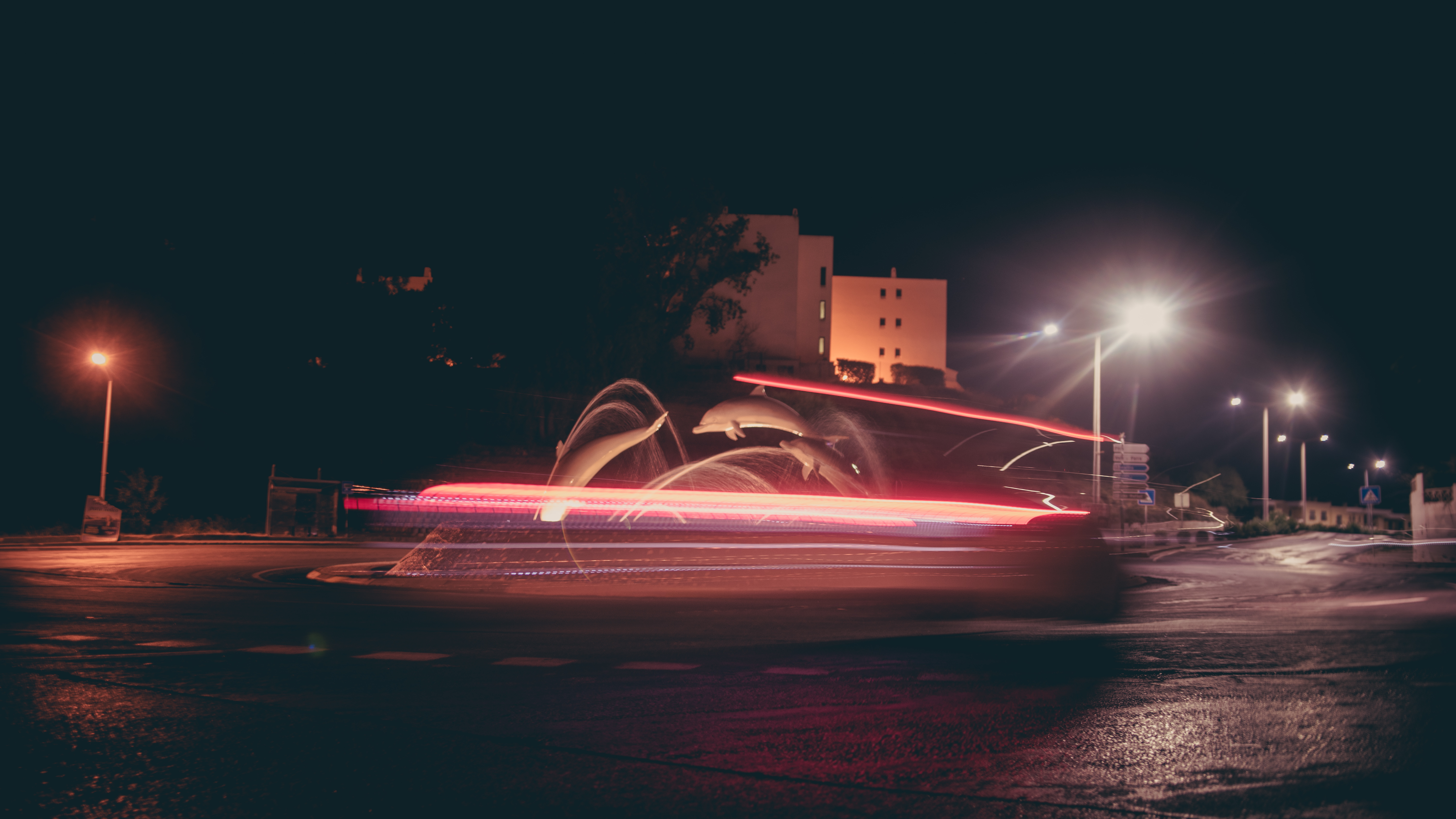 _DSC0711