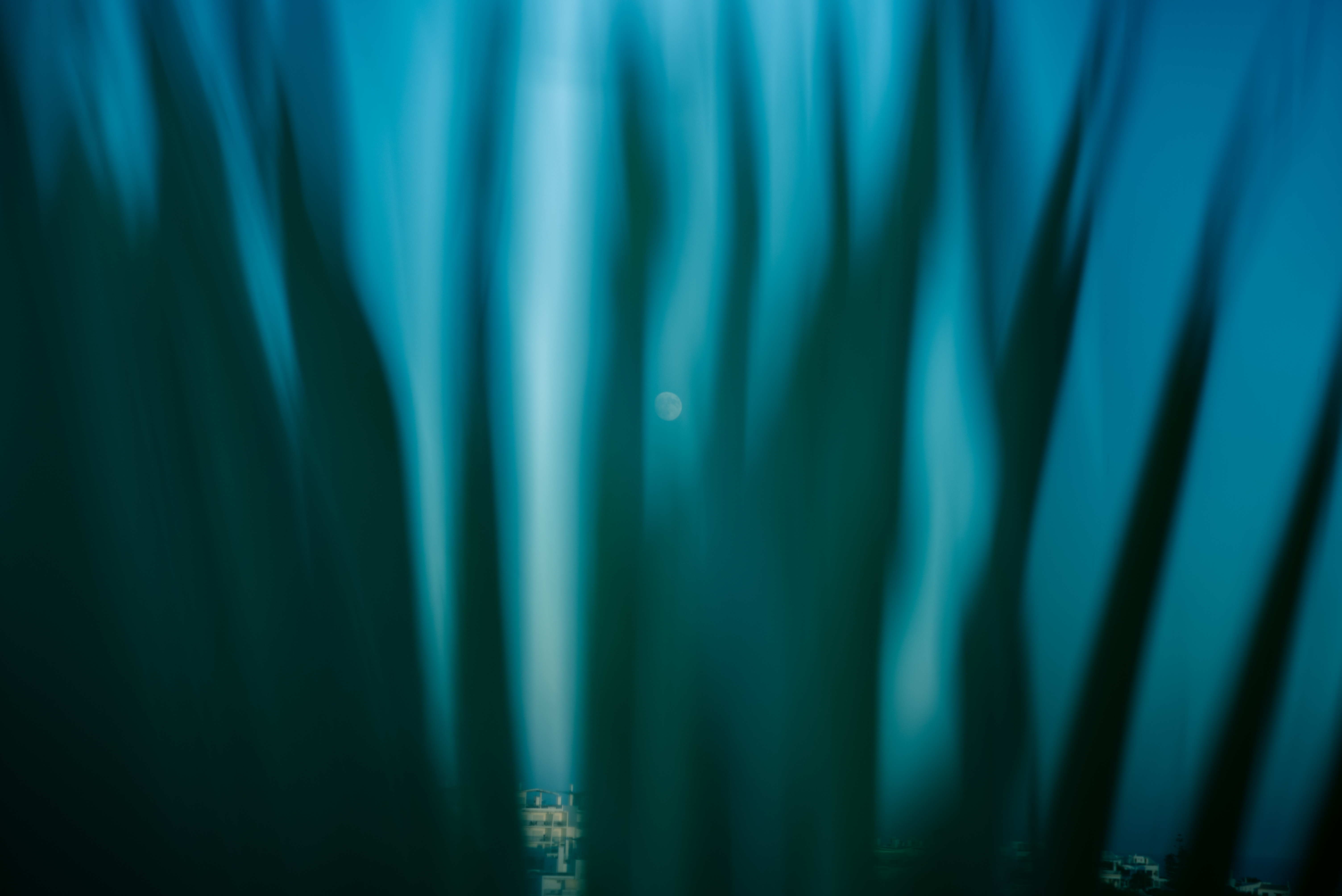 _DSC0793