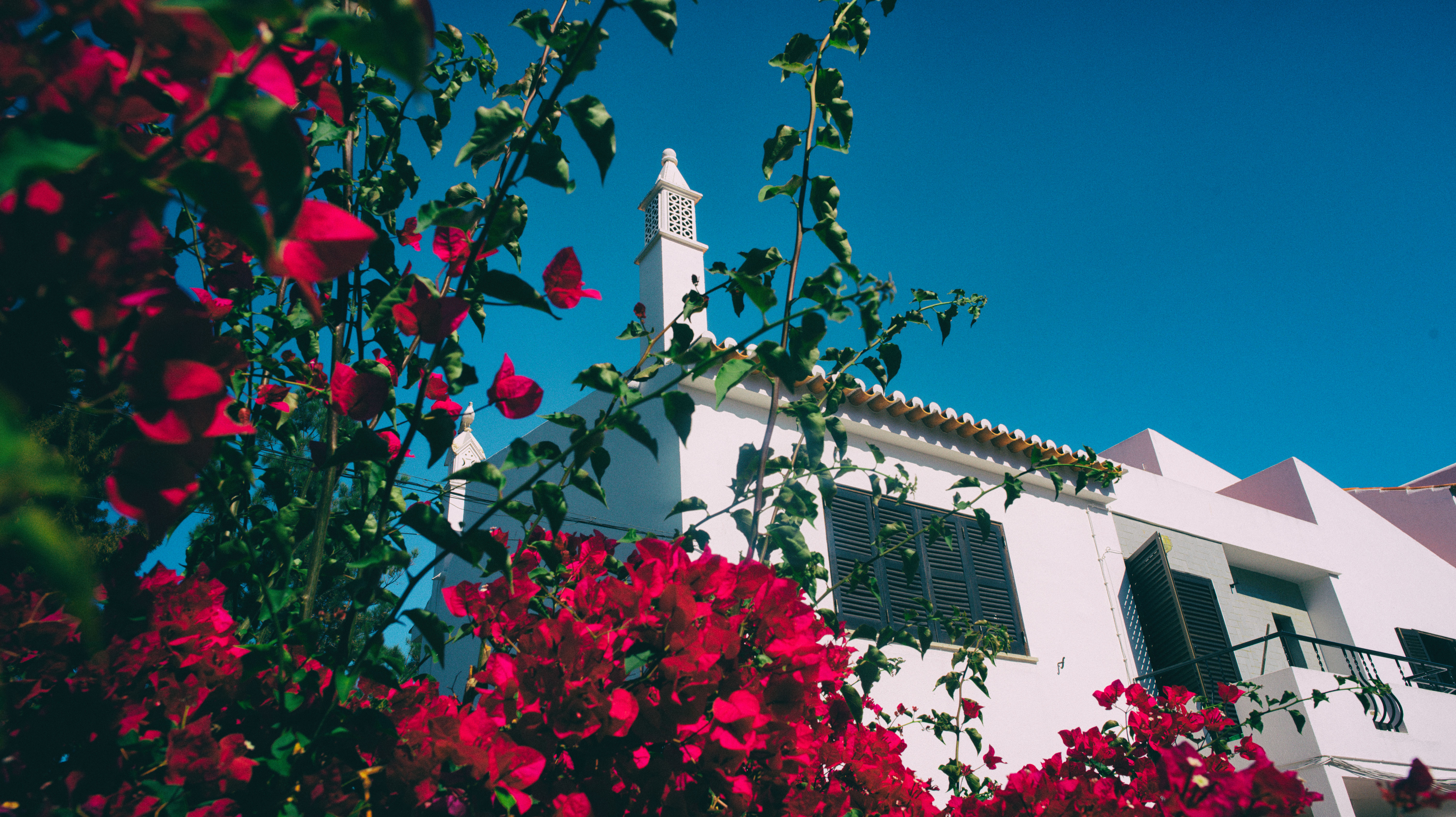 _DSC1001-Edit-2