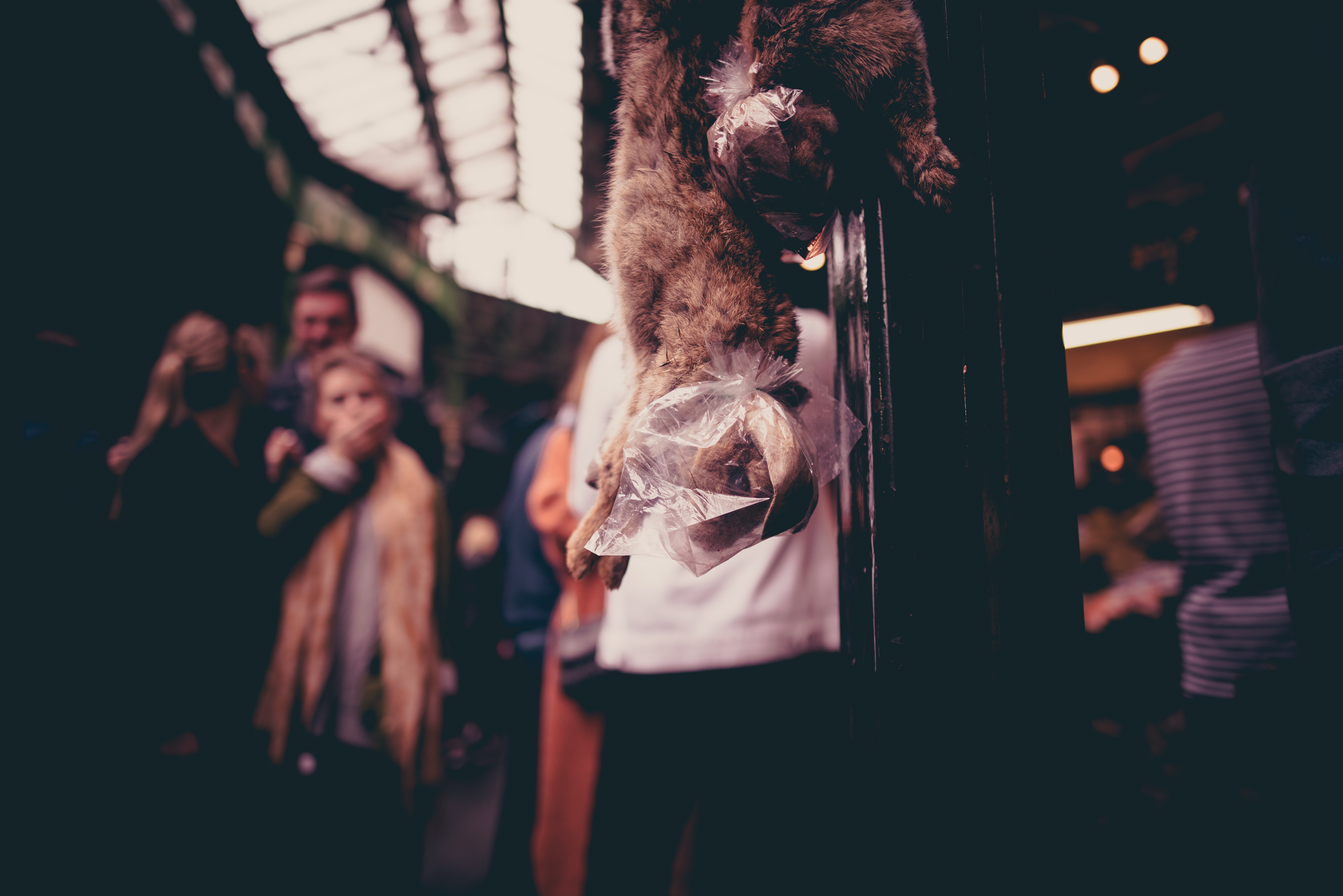 _DSC1649