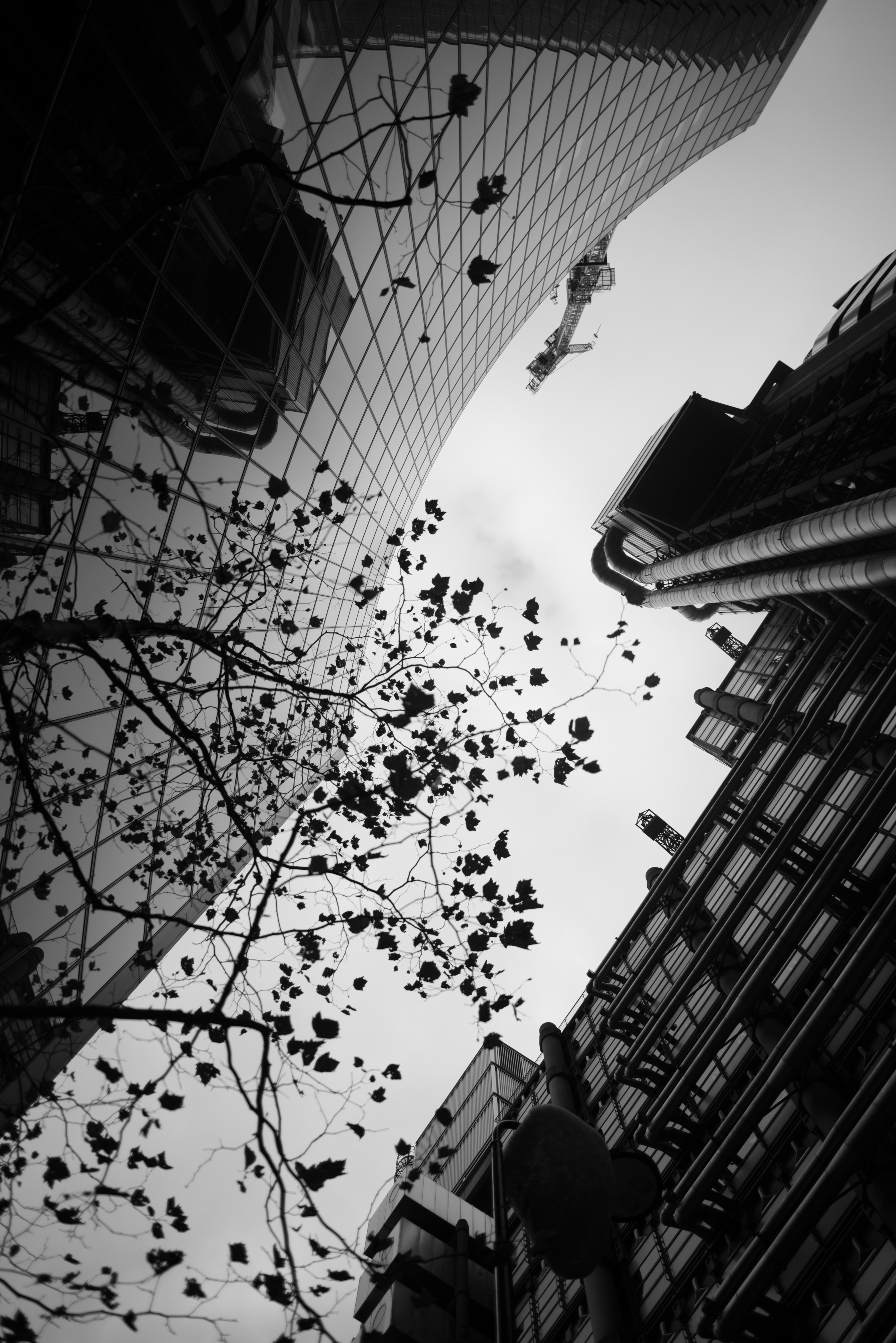 _DSC1718