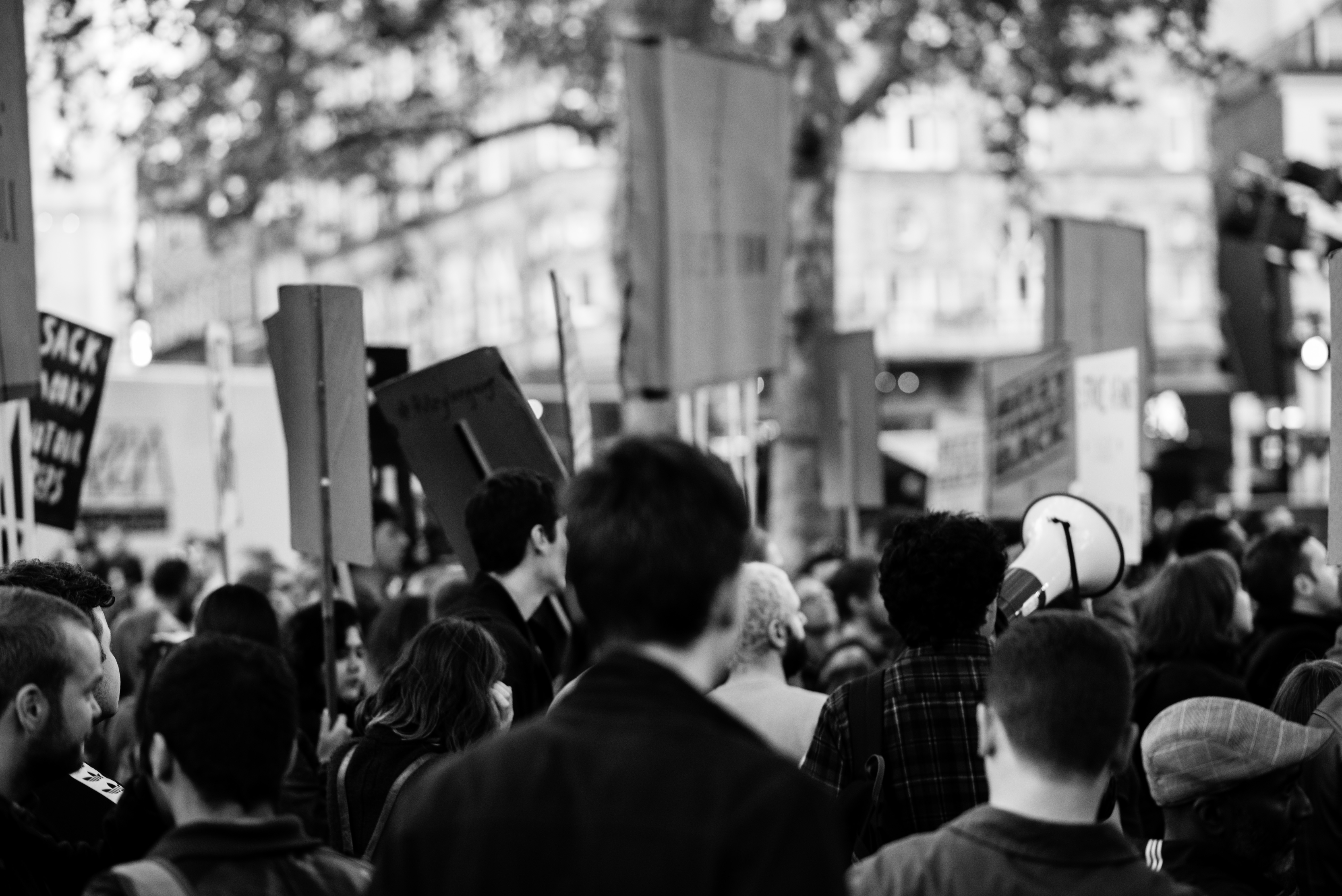 _DSC1977