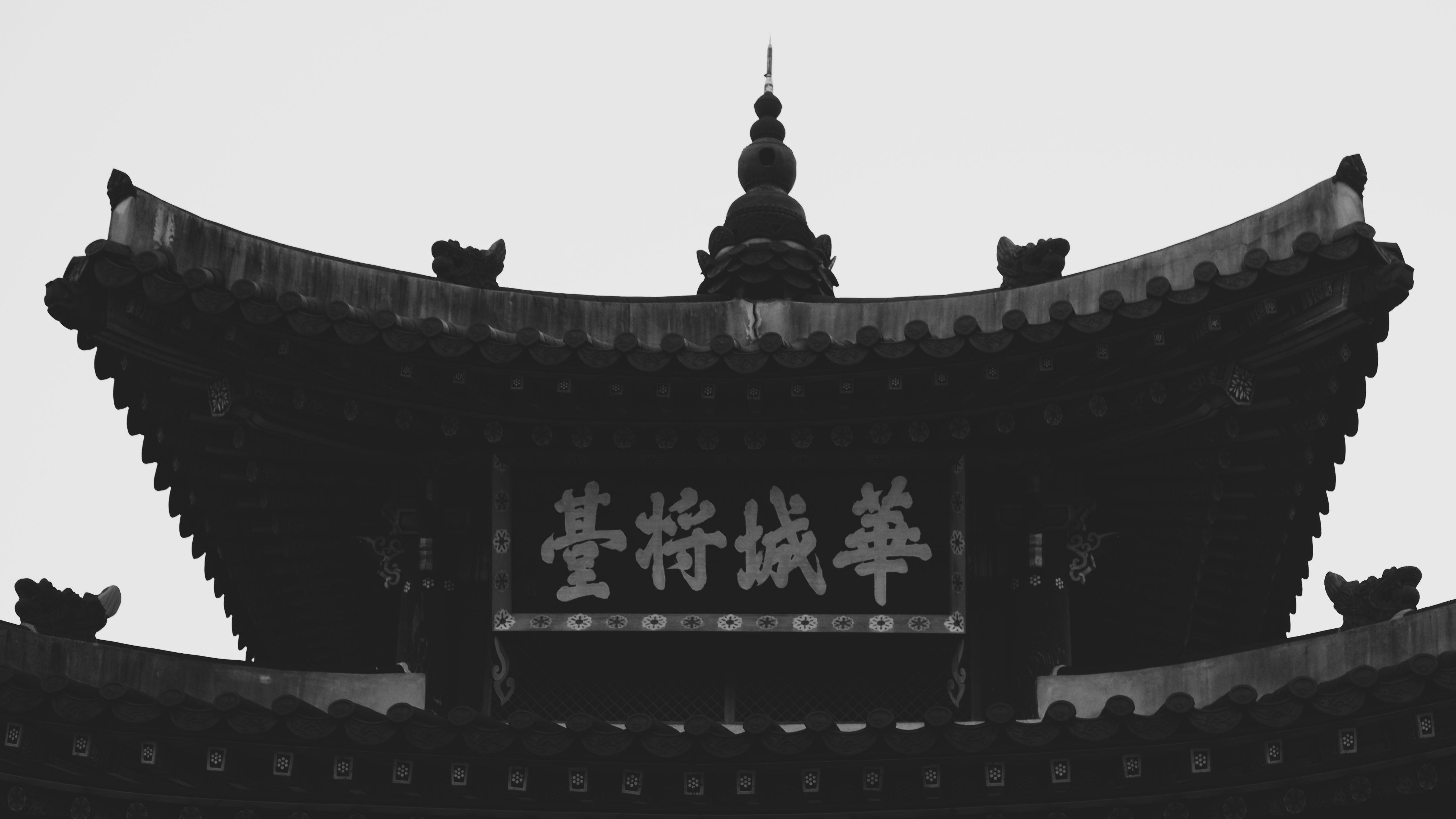 DSCF8675