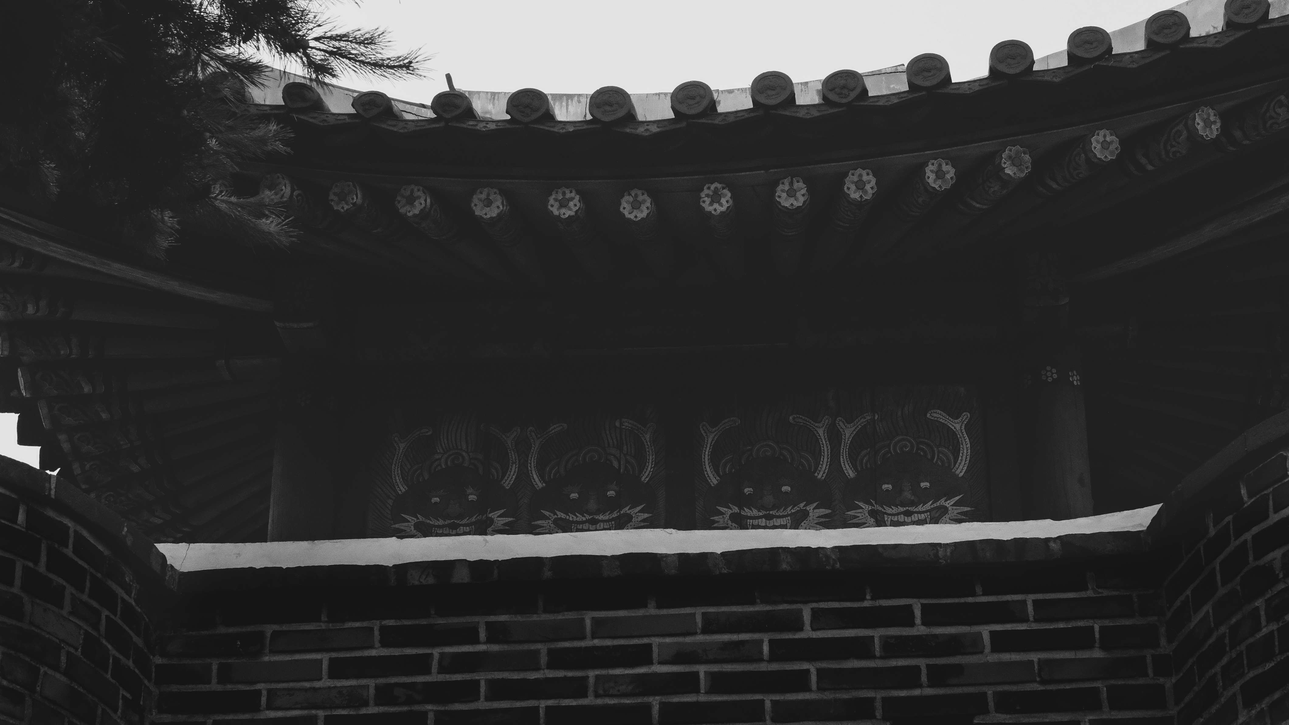 DSCF8689