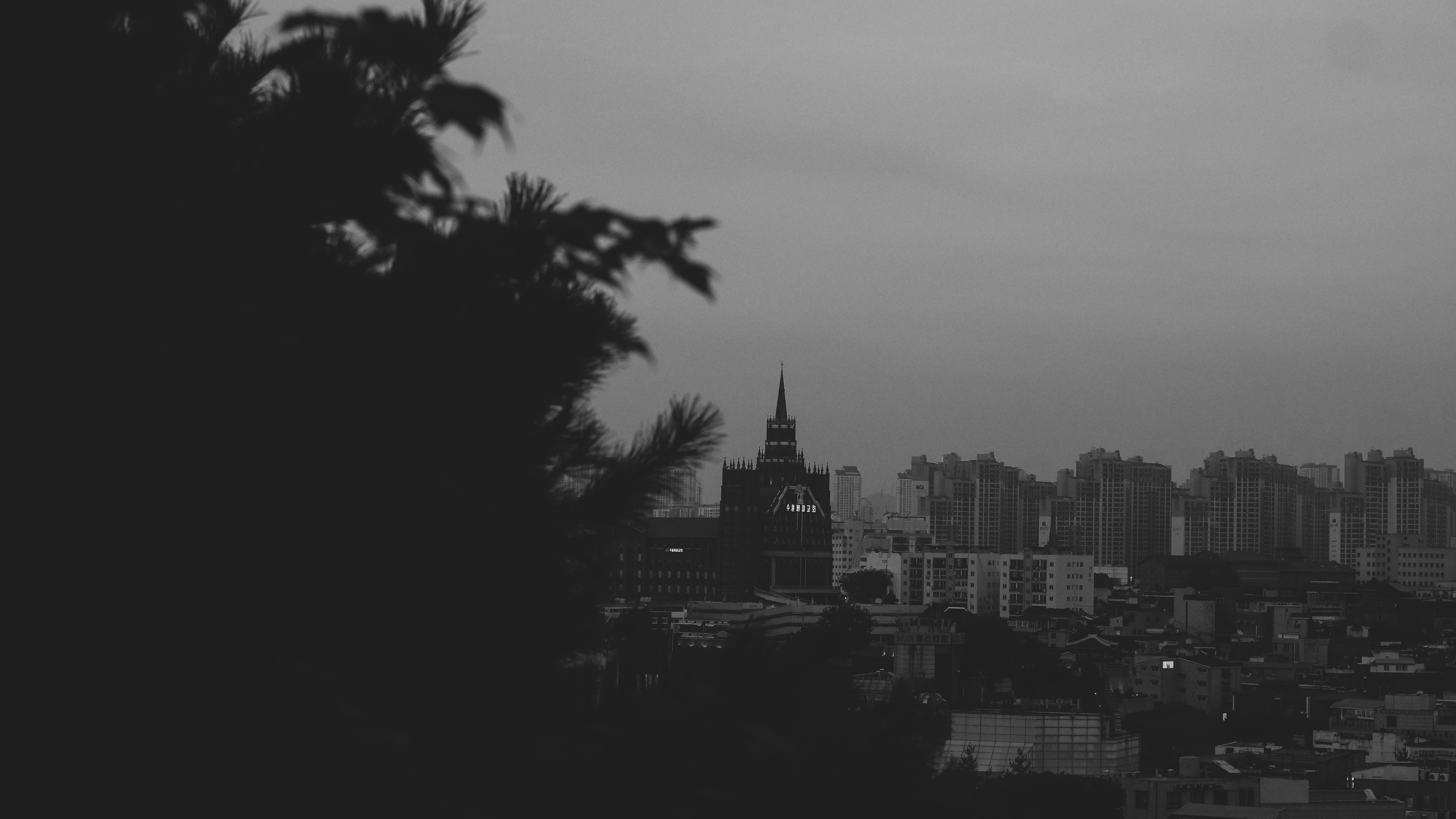 DSCF8692