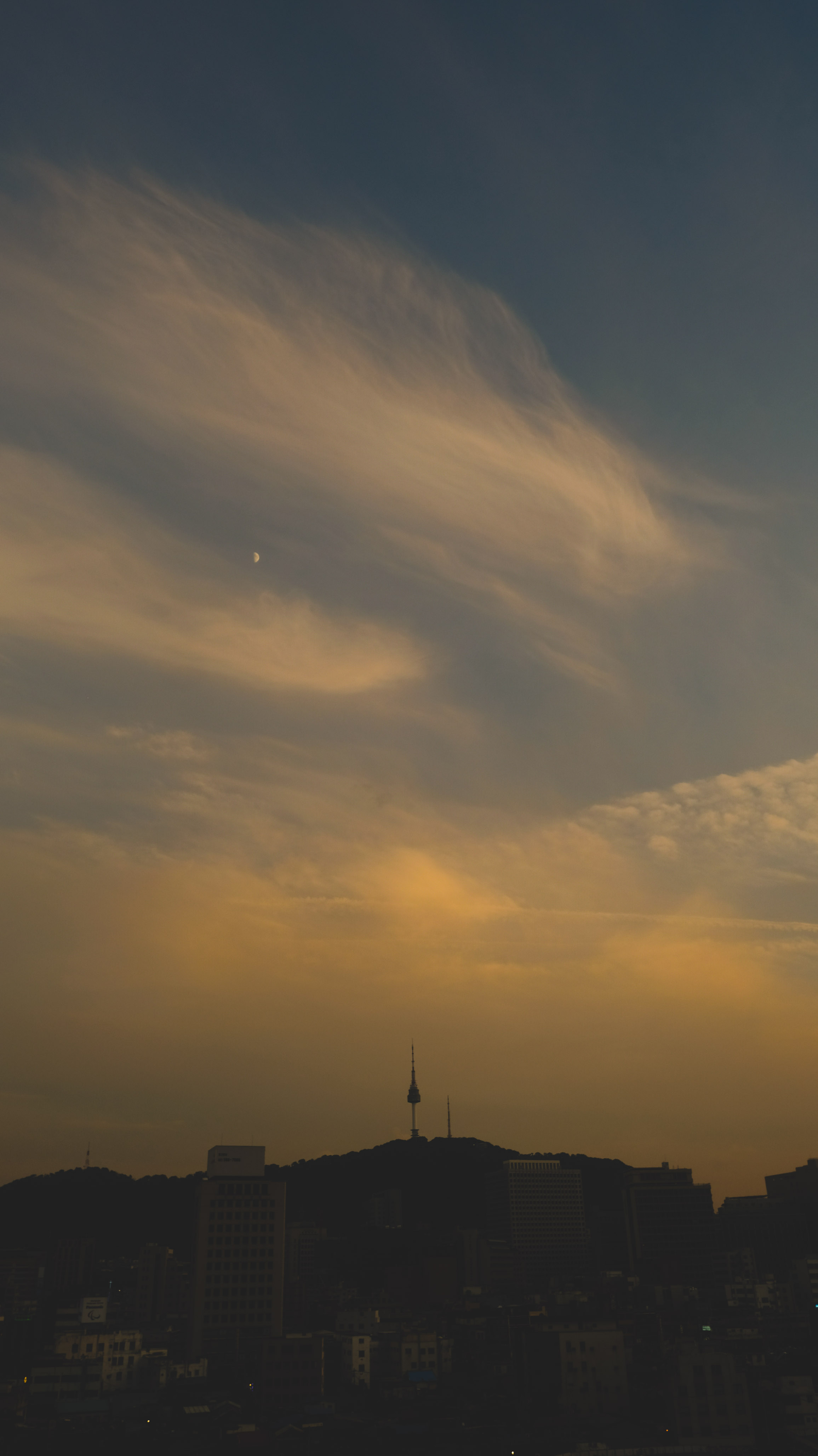 DSCF8730