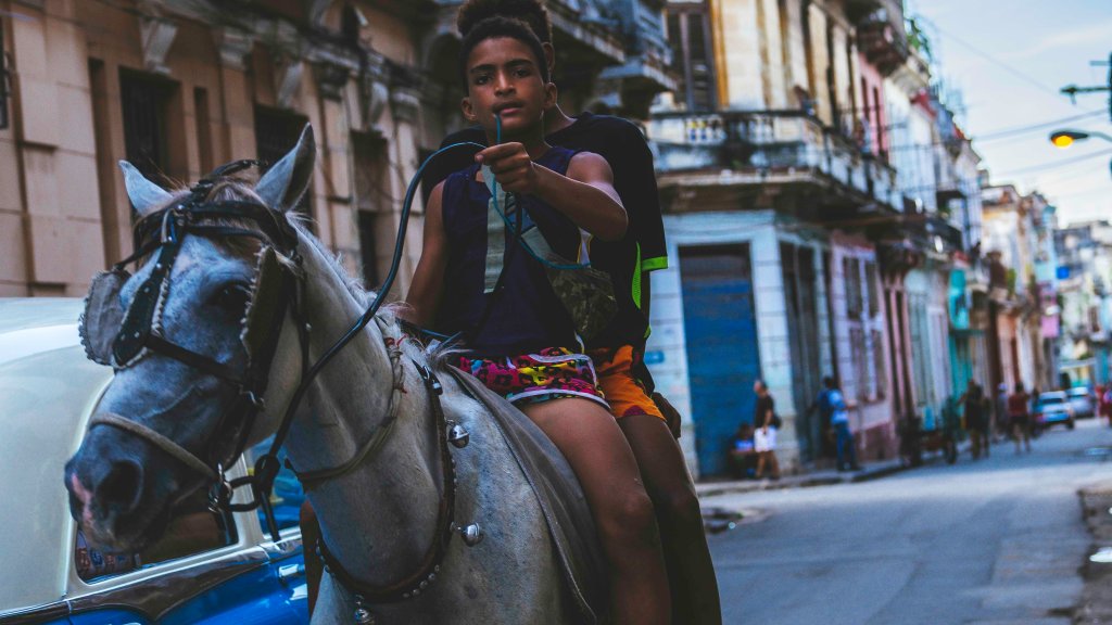 This image has an empty alt attribute; its file name is dscf9595.jpg