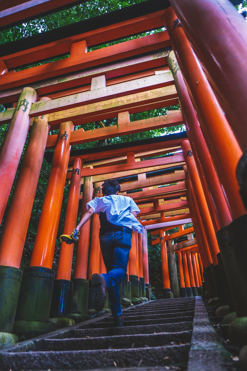 Alone in Kyoto